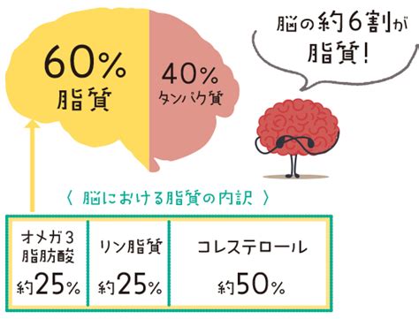 体型をつくるのは脂肪ではなく筋肉 魅力的な「くびれ」にも筋。